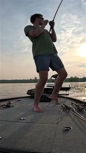 Is there anything better than setting the hook on a frog fish? #fishing #frogfishing #bass #hookset