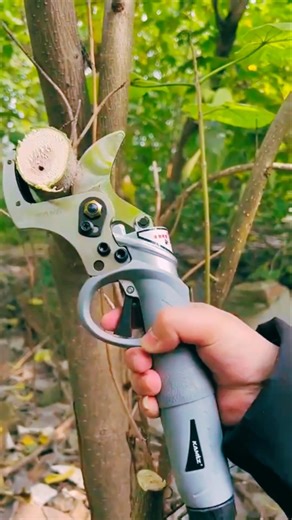 🌿 How to Cut Tree Branches Easily & Safely!