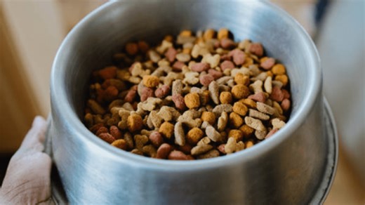 For Pet's Sake - Do your pets need supplements?