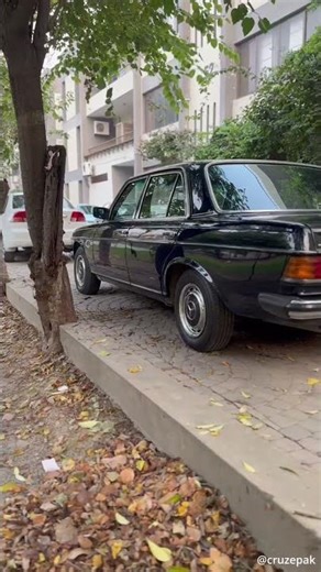 The Mercedes E Class w123 300D