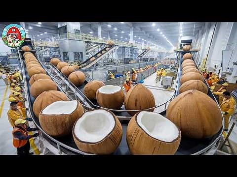 Awesome COCONUT Harvesting & Processing Into Coconut Milk, Coconut Water, Coconut Oil, Coconut Coir