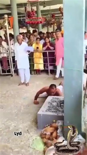 Naag baba , Snake baba India