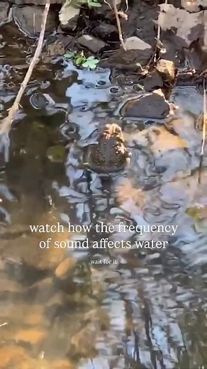 111K views · 3.8K reactions | Makes sense why music is so powerful. | Psychedelic Society | Facebook