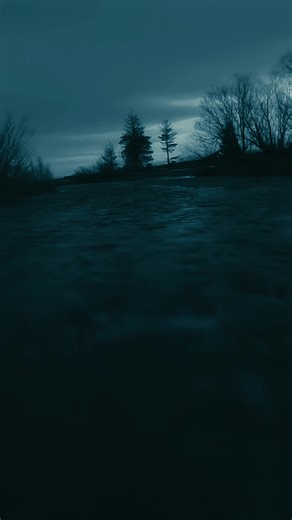 Musical Relaxation: Discover the Best Music Videos