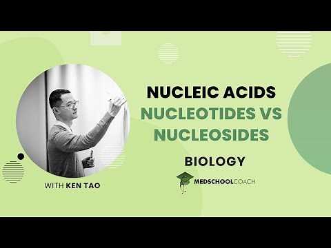 Nucleotides vs. Nucleosides