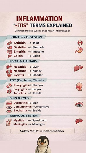 Understanding Common '-itis' Medical Terms: Inflammation Explained