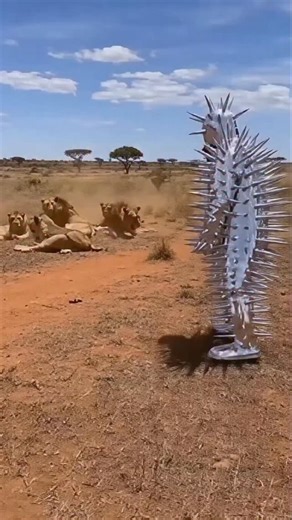 Gorilla on Instagram: "Japan is turning footsteps into electricity using piezoelectric tiles. Every step creates a small amount of energy, and millions of steps together power LED lights and digital systems—supporting a more sustainable urban future. ⚡🌱 #Japan #FutureTechnology #RenewableEnergy #SmartCity #Innovation"