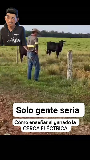 2.4M views · 18K reactions | Arlex Fernando García on Reels | Facebook