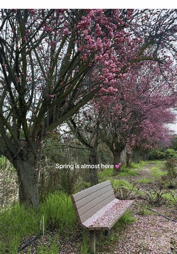 Beautiful Nature: Spring Arrivals and Wonders