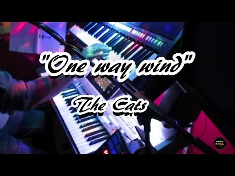 "One way wind" The Cats on Tyros 5 & PSR770