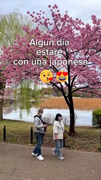 Algun día... 😛😛😛 . . . . . . . #talleres #fypシ #foryou #fypシ゚viral #moto #taller #unnombreserioentalleres #motosport #kawa #kawasaki