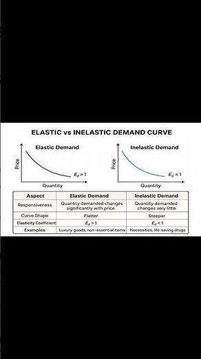 Elastic vs Inelastic Demand Curve | Key Differences Explained