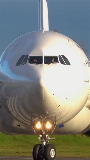 Exploring Taiwan, Malaysia, and Hong Kong Culture