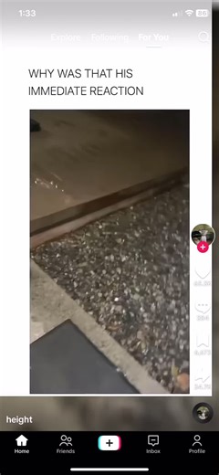 wsd_clan (@wsd_clan)’s videos with original sound - wsd_clan