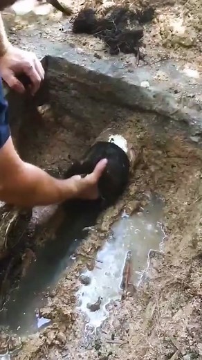 Extracting a Pipe to Access Hidden Water Source