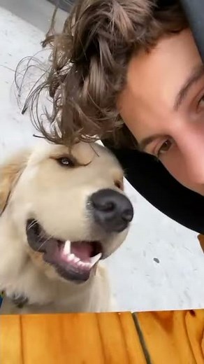 Shawn Mendes with his dog Tarzan - compilation