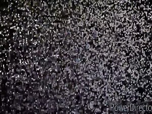 5.9K views · 412 reactions | POSTAL WORKERS GOING POSTAL OVER POSTER 7 FIRST AMENDMENT AUDIT | Big Nick South Florida accountability | Facebook