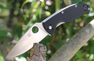 Spyderco Tenacious Review: Top Budget EDC