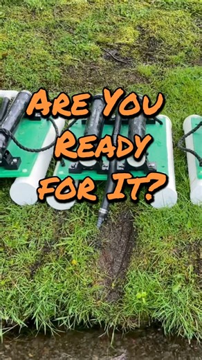 Attention All SWIFTIES & Lake NERDS - Are You Ready for It?