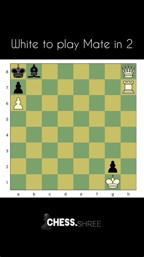 ChessWith Shree on Instagram: "To learn chess notation, understand that each square on the chessboard is identified by a unique letter-number combination, where the letters represent the columns (files) from "a" to "h" and the numbers represent the rows (ranks) from "1" to "8"; to record a move, write the piece abbreviation (like "N" for knight, "Q" for queen, "K" for king, "R" for rook, "B" for bishop) followed by the square it moves to, with no piece abbreviation needed for pawn moves! Now Com