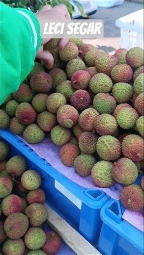 Leci Segar #buah #leci #buahleci