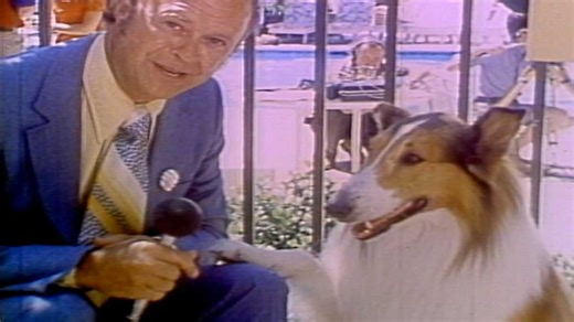 Celebrate National Dog Day with this amazing 1986 interview with Lassie