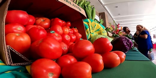 Hawaii’s agriculture industry seeks support amid rising costs, federal funding cuts