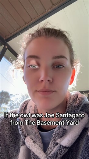 WHOOT, WHO IS THAT?! #thebasmentyard #tby #joesantagato #owl #owlimpression