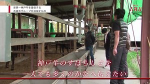 【KOBE BEEF Farm ＆Famous Restaurant】 The KOBE BEEF is in world most Famous Beef But you really know about the KOBE BEEF?! Are you interesting about the KOBE BEEF Farm~~ Plesae watch this Vidoe to understand more about the KOBE BEEF | Kobe beef tourism association