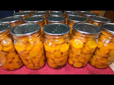 Canning Carrots | Raw Pack | GOOD BEGINNER CANNING PROJECT