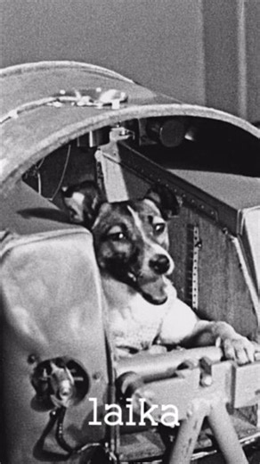 The Disturbing Truth About Lost Items In Space