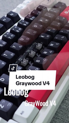 DoDoGear Sound Test Switch P5: Leobog Graywood V4