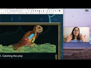 Virtual Owl Pellet Dissection