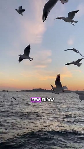 Istanbul Travel Guide: Using the Istanbulkart Effectively