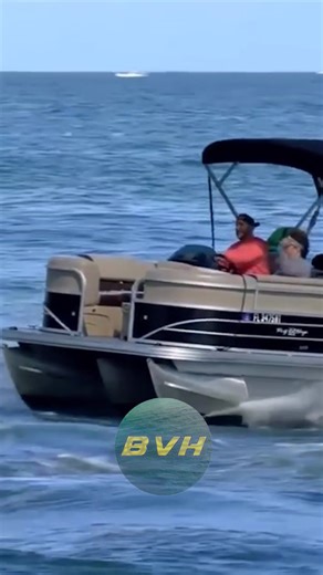 Pontoon in Haulover goes as expected... #Haulover #Hauloverinlet #Miami #Miamibeach #miamidade #miamidadecounty #BocaRaton #Bocainlet #BoyntonBeach #Boyntoninlet #Jupiterbeach #Jupiterinlet #palmbeach #palmbeachcounty #southflorida #inlets #winorlose #hauloverisabeast #legendsaremade #hopesanddreamsshattered #scarab #pontoon #boating #boatlife Broncos Guru Wavy Boats | BoatsvsHaulover