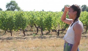 Cette commune d’Anjou prépare un nouveau festival de musique au cœur des vignes