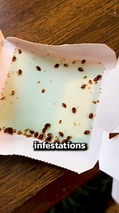3.5K views | Bed Bug Signs You Can’t Ignore!  #bedbugs #pestcontrol | Pest Badger | Facebook
