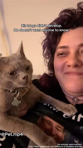 Disabilities Don’t Define Them – My Pets Are Living Their Best Lives!#funny #animallife #animals