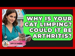 Why Is Your Cat Limping? Could It Be Arthritis? - Happy Cat Handbook