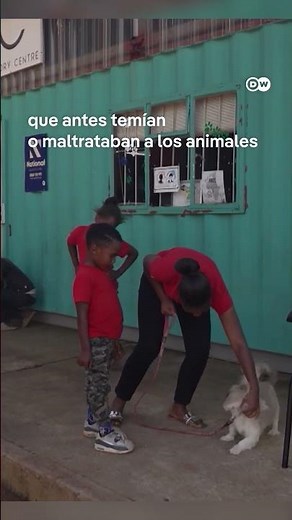 De la calle al hogar: cachorros rescatados por jóvenes voluntarios