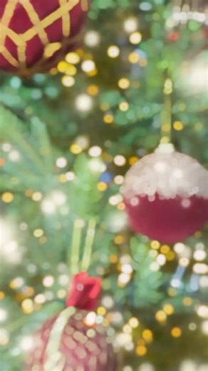 For a complete festive day out this Christmas, head to Arboretum Home and Garden Heaven where you can explore the Christmas shop and savour the delights of the stunning in-store Christmas décor. Browse beautiful gifts, festive lights, striking decorations and Christmas trees of all sizes. This five-star garden and lifestyle centre has a whole host of family events for the Christmas period – come along for a free viewing of Santa’s two real reindeer and enjoy the fun, interactive Christmas displa