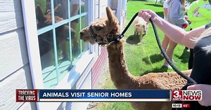Animals visit assisted living centers