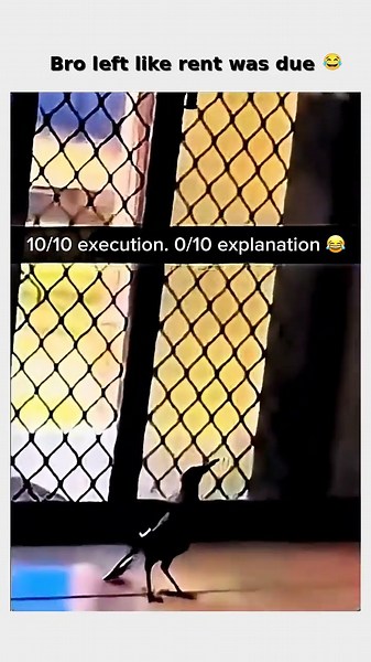 Bro really understood the assignment instantly 😂 follow for more #shorts