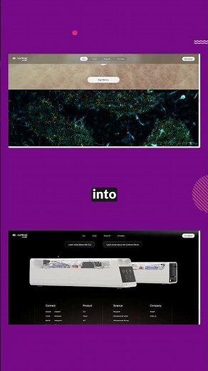 This computer runs on human brain cells