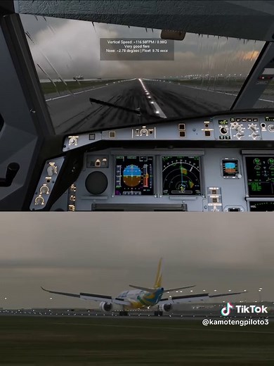 Crosswind Landing Techniques in Flight Simulators
