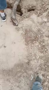 3.7M views · 10K reactions | Ahora se abrió la tierra en el Ejido La...