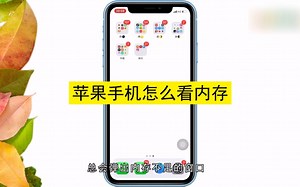 怎么查询苹果的内存容量？查询苹果的内存容量