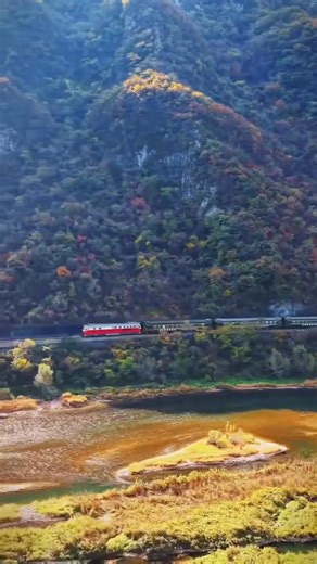 Which country is? | Fatima Zahra