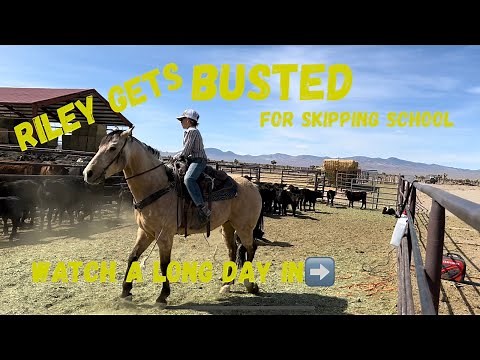 Anchor Brand Ranch branding calves with Juvenile Delinquents