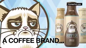 Happy #InternationalCatDay! Here a look at how one of the most famous Internet cats - The Official Grumpy Cat - makes her millions: http://cnnmon.ie/1f0BOss | CNN Business